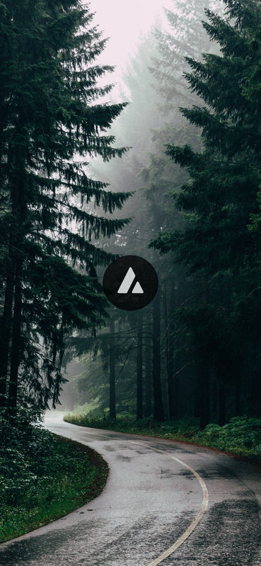 Wallpaper • Forest •-Wallpaper - phone-AURO Carry