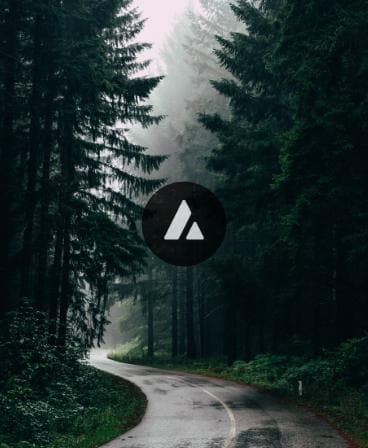 Wallpaper • Forest •-Wallpaper - watch-AURO Carry